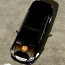 продажа предметов, вещей Винилы - Винилы в Car Parking